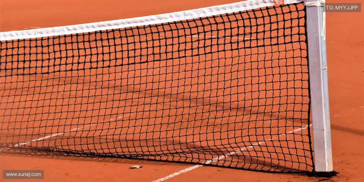 ✨ 一键订阅，精彩不断！最新赛事资讯，第一时间送达！